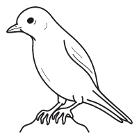 Bird Sing Park